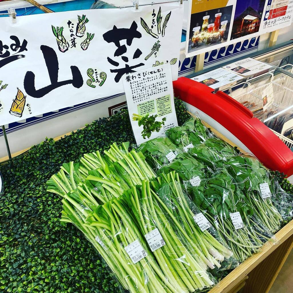michinoeki_taro's tweet photo. おはようございます。
本日の#山菜
#葉わさび
#ウルイ
です！

#産直とれたろう
#道の駅たろう https://t.co/ufzYxdNWjP