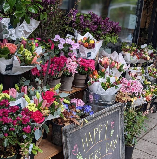 northrupstation's tweet photo. Mother's Day is around the corner and has us thinking about plants and flowers.  Looking for a gift for a special someone?  Looking to brighten up your space?  Or just want to browse in these beautiful shops?  Here is our list of nearby nursery and flower shops. https://t.co/lrAcRckNyc
