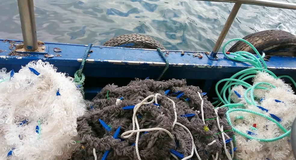 IPac. Acuicultura tweet media