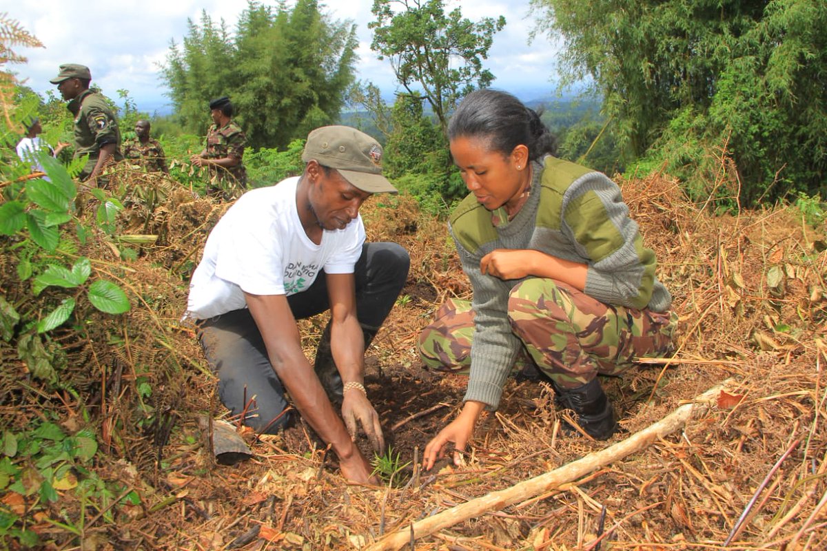 Karasinga3's tweet photo. At first I thought I was fighting to save rubber trees, then I thought I was fighting to save the Amazon rainforest. Now I realize I am fighting for humanity.lets grows tree , climate change is real. .
#Treeforbetterlife #Treeforhope #dkfandkdf #environnement https://t.co/6FmhHDDMAx
