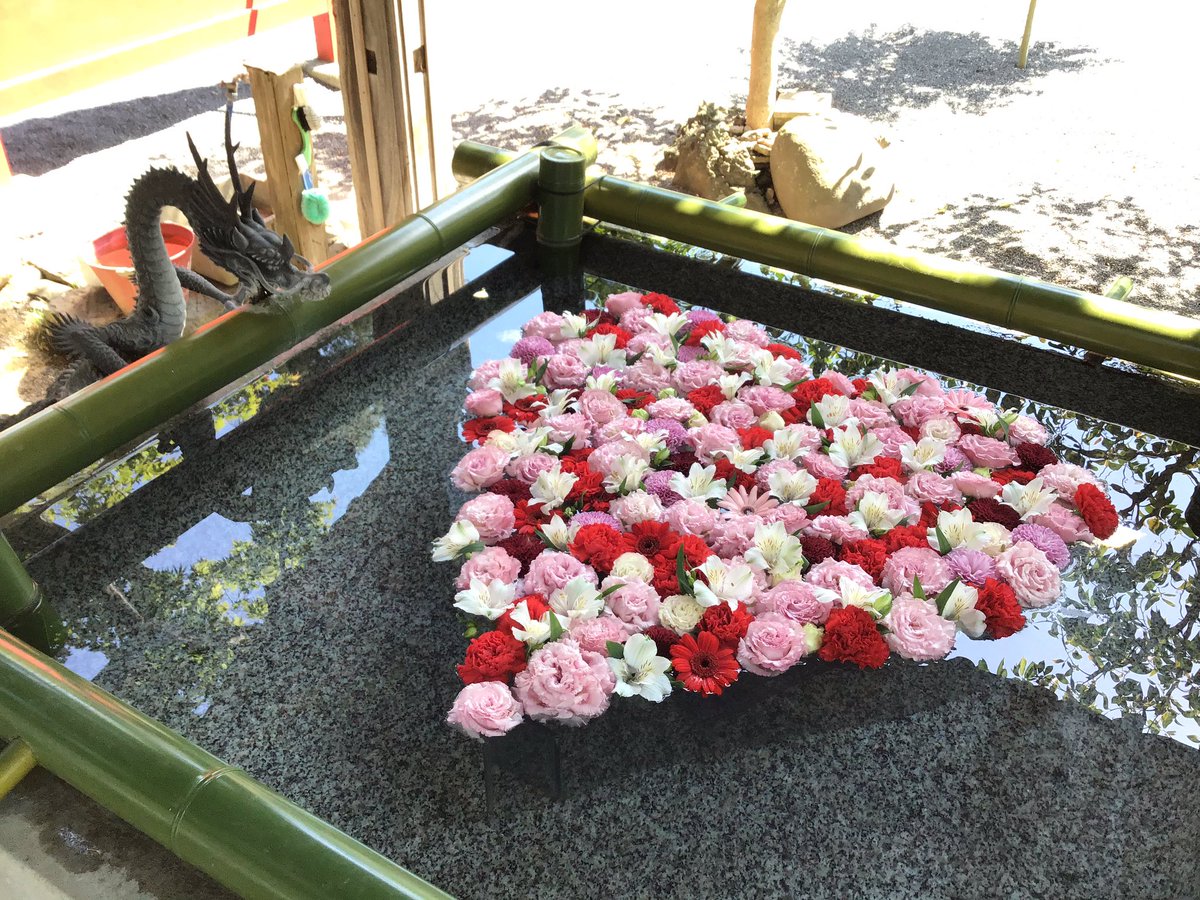 fusebenten's tweet photo. 昨日の己巳の日には、平日にもかかわらずたくさんの方にお参りいただき誠にありがとうございました🐍🌟今月の花手水も始まりましたので、お参りの際はぜひご覧ください💗
中庭の薔薇が現在綺麗に咲いております🌹週末の雨で散りませんように😭☔️ https://t.co/exojrXuoVx