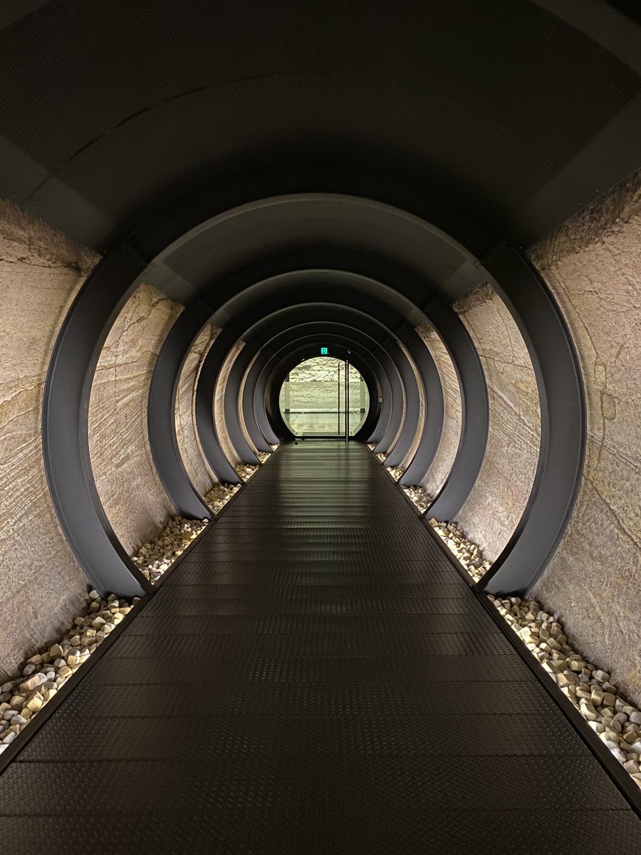 Selina McGrath tweet media