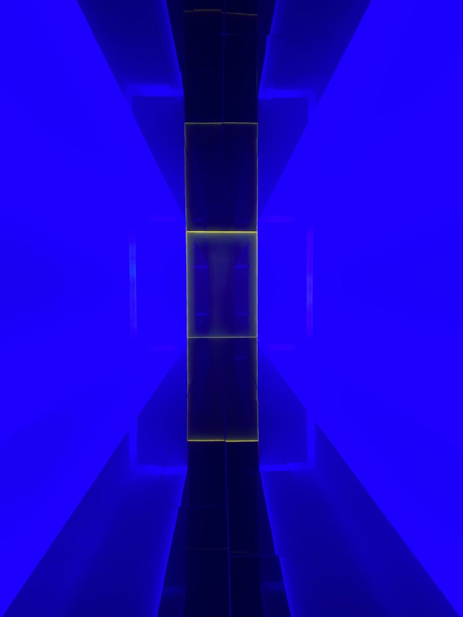 Selina McGrath tweet media