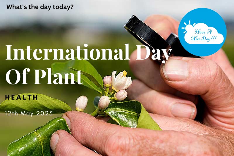 en.m.wikipedia.org/wiki/Internati…
#haveaniceday #daytoday #InternationalDayofPlantHealth #PlantHealth #GreenCommunity #planthealthday #foodsecurity #ClimateAction #FAO #12May