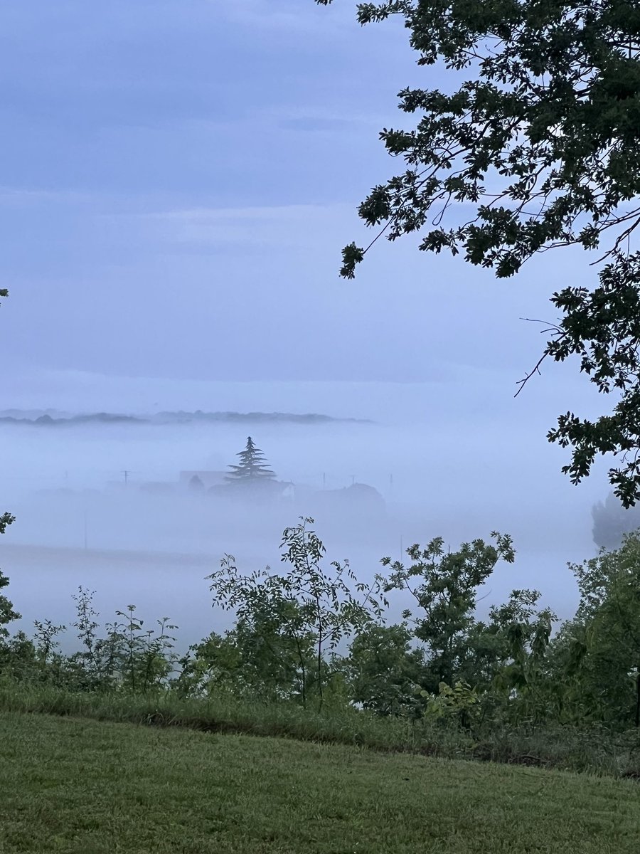 Montaillac's tweet photo. Atmospheric.
#spookymorning https://t.co/Wn3LZ83Zmw