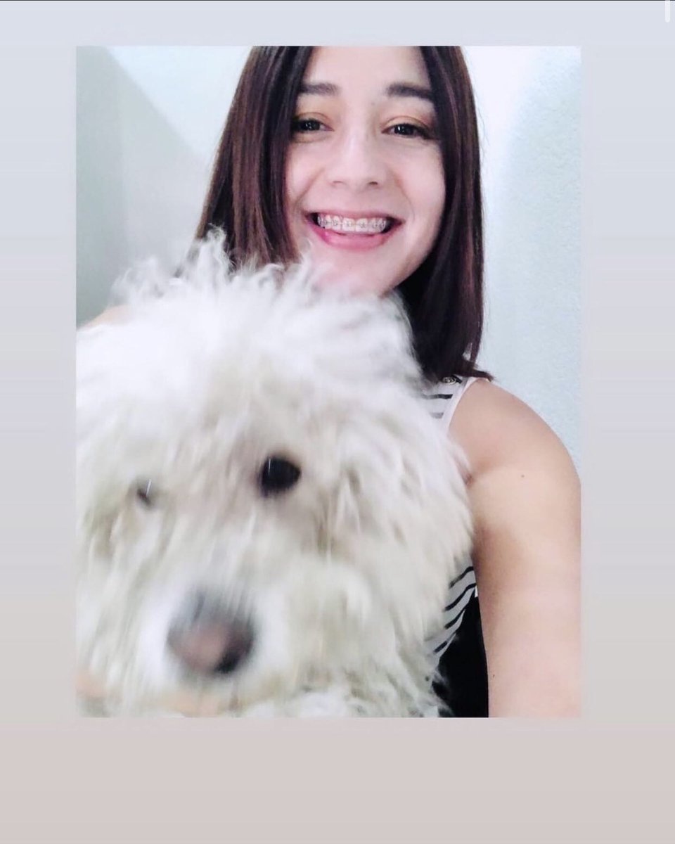 Nancy_paolap's tweet photo. No se dejó tomar fotos.. 🤳 #william #dog #maltes https://t.co/59ff9ZsDLa