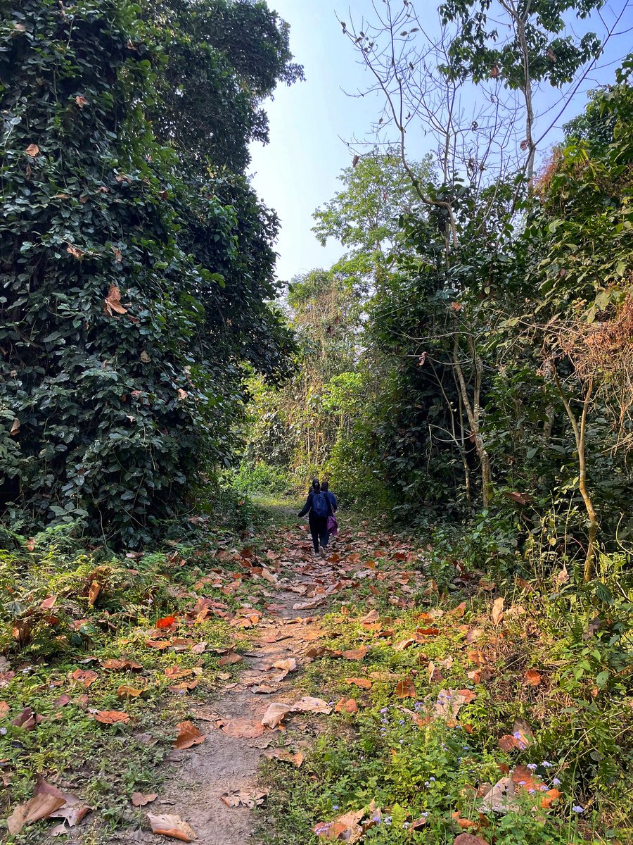 Manali_where's tweet photo. Found a noice trail. https://t.co/KTgh9V7zNs