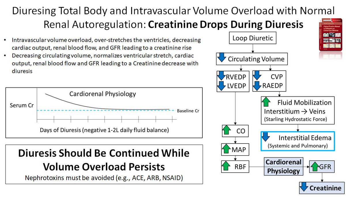 LandsbergManual's tweet photo. Diuresis MUST continue until volume overload resolves, NOT until Creatinine increases 

Routinely, diuresis MUST continue DESPITE Creatinine increase
        
#Medtwitter #kidney #meded #FOAMed  #heartfailure #pulmonary #critcalcare #anesthesia PRTIYL @DrHilaryShapiro https://t.co/2ZQ3cwgrdB