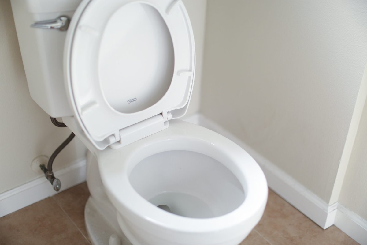 RealDailyInfo's tweet photo. 6 Toilet Seat Habits To Always Follow - https://t.co/5ZDrM4RdRE https://t.co/e6fsSuAKQ2
