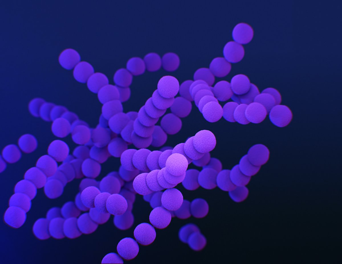 Our Founder Martha Carlin wrote an article for Agro FOOD Industry Hi Tech, a journal of TKS Publisher, on the proposed definitions of prebiotics, probiotics and postbiotics. Give it a read here:
teknoscienze.com/wp-content/upl…