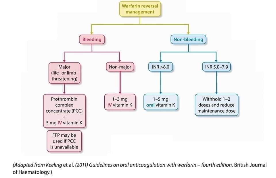 Nte n l ed ne on twitter flowchart for the management of