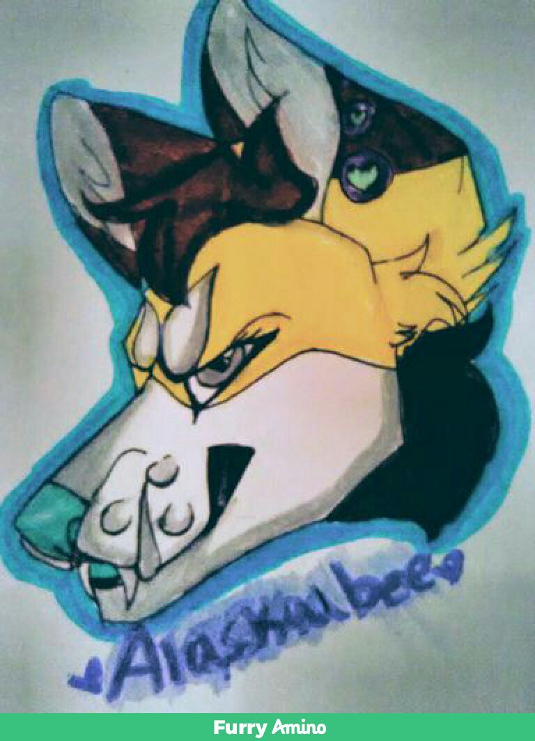 EllieMaiye's tweet photo. Alaska 35$ personal fav https://t.co/P1ZVHIcvdN