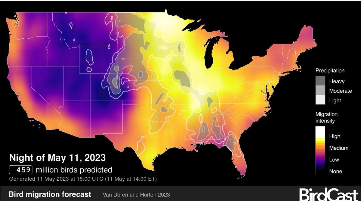 NY COUNTY MIGRATION ALERT: It's another high migration night for birds in NYC with over 400 million on the move this evening. You can check this information yourself nightly on <a href="/DrBirdCast/">Team BirdCast</a>. See link: 
birdcast.info