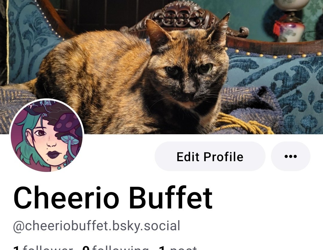 Lilit- None Gender: Left Beef tweet media