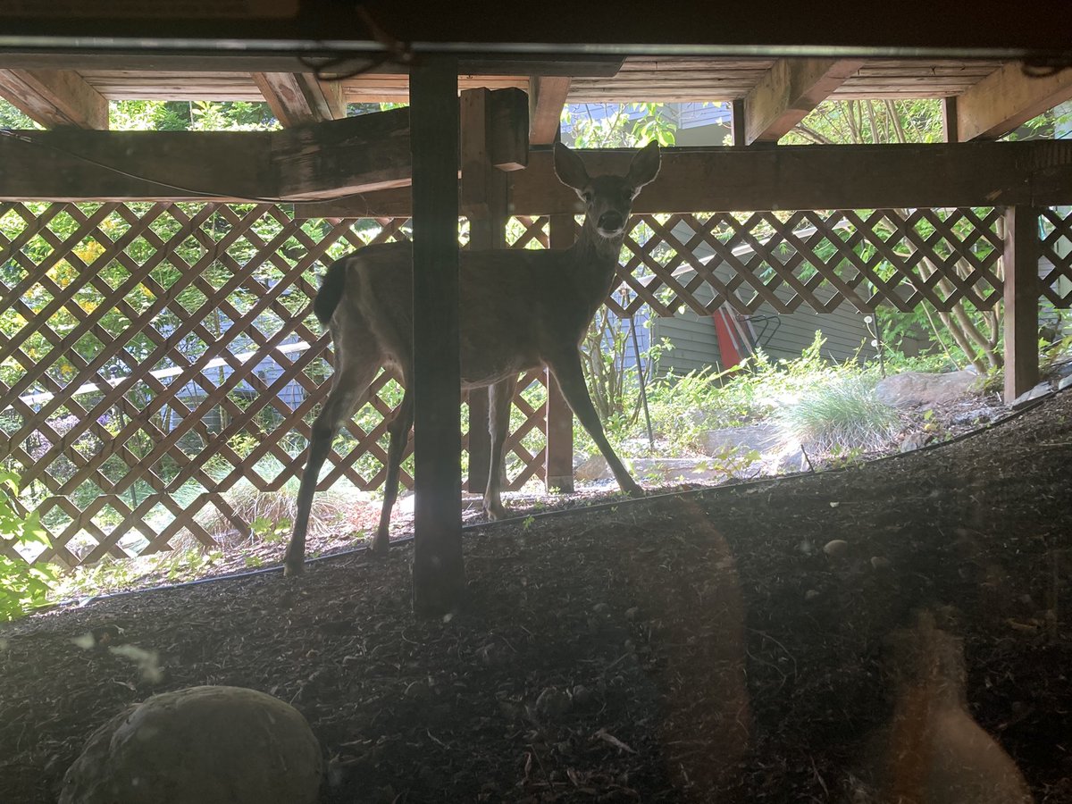 Roberta Gregory tweet media