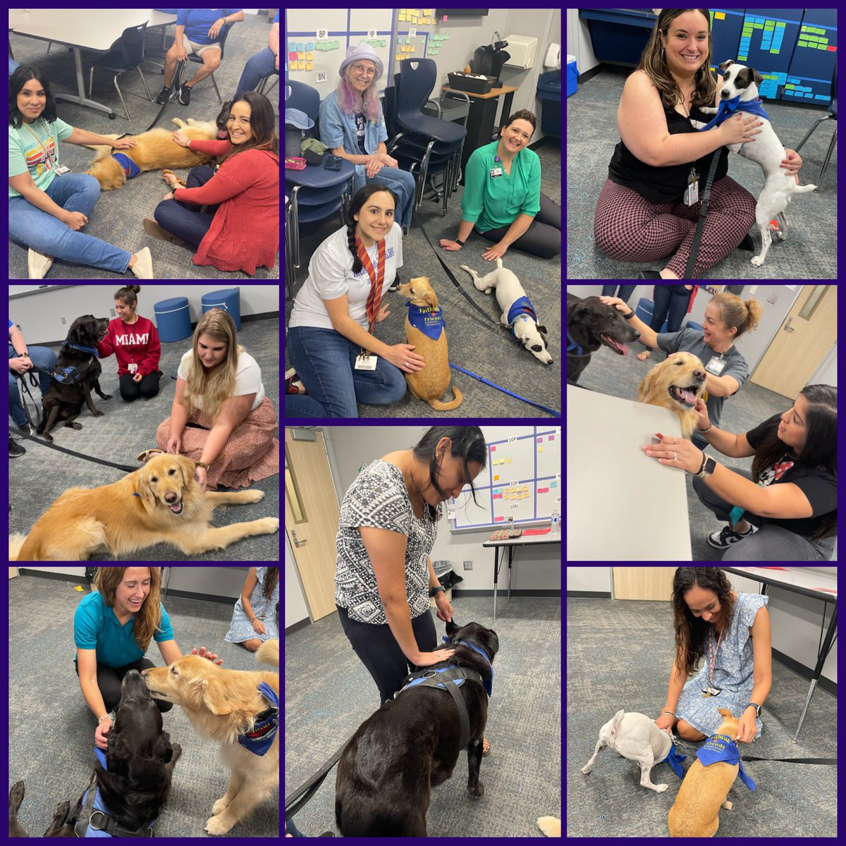 StewartSeagulls's tweet photo. There’s no better way to “paws” and relax than with pups from Faithful Friends! Thank you for bringing so much joy to our Seagull staff. https://t.co/QiMhnS9A9a
