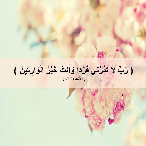 1hvn4's tweet photo. رَبِّ لَا تَذَرْنِي فَرْدًا وَأَنتَ خَيْرُ الْوَارِثِيــنَ . https://t.co/IxyOBNzDNW
