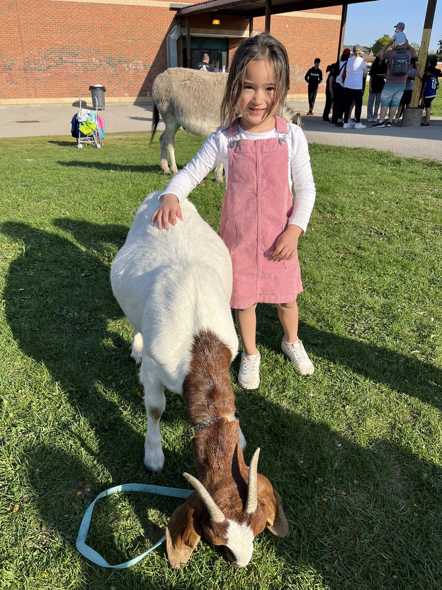 A visit from Triple C Farms Petting Zoo was a highlight of our Family Literacy Night.