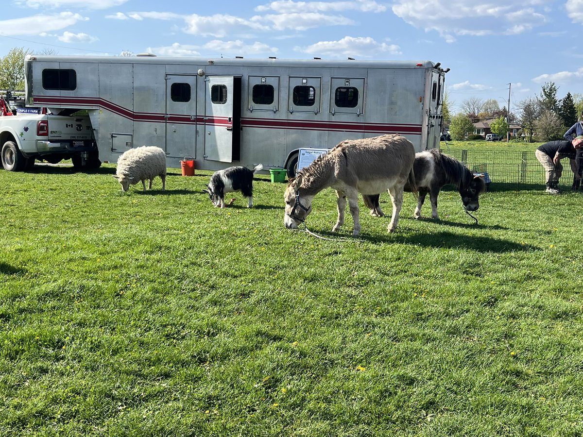 CB StirlingHWDSB tweet media