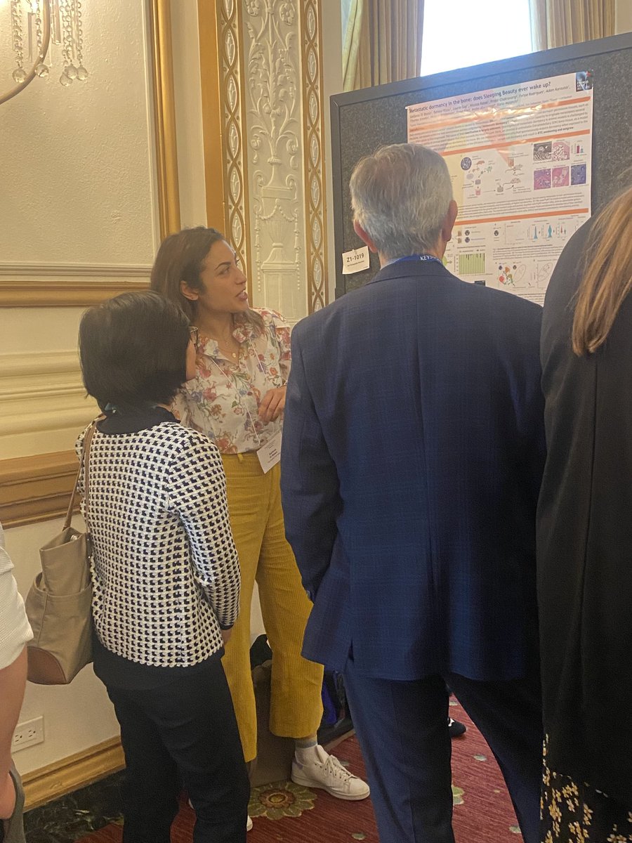 Stefania Di Blasio tweet media