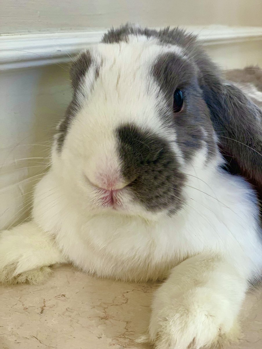 Salad and chill 😛❤️