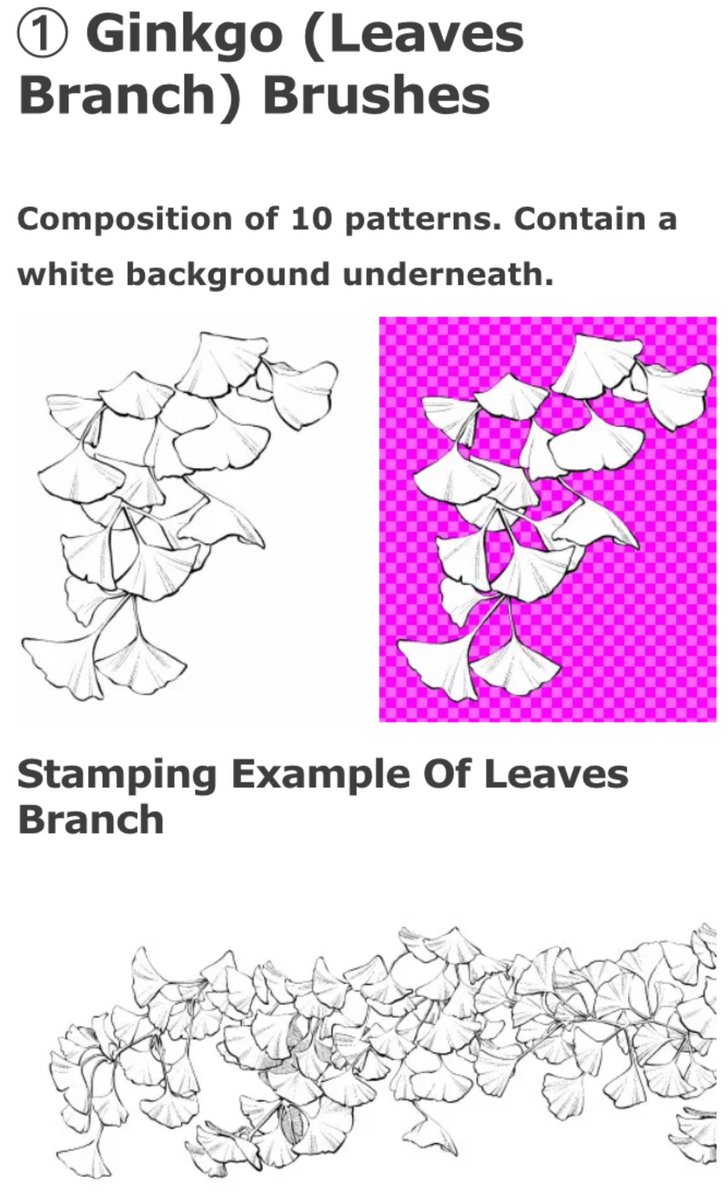 Manga Materials English on Twitter "Ginkgo (Leaves Branch) 2 Types
