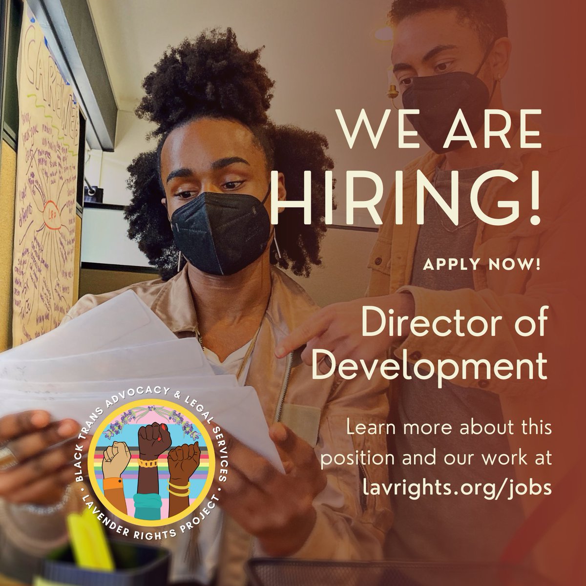 lavrights's tweet photo. Lavender Rights Project is in search of our next Director of Development! We are especially looking for somebody with 5 years of experience in leading fundraising for a nonprofit with a $1 million+ budget. Is that you? Learn more at https://t.co/4LSgvWNoVC. #LavenderRightsProject https://t.co/wKIZPy588A