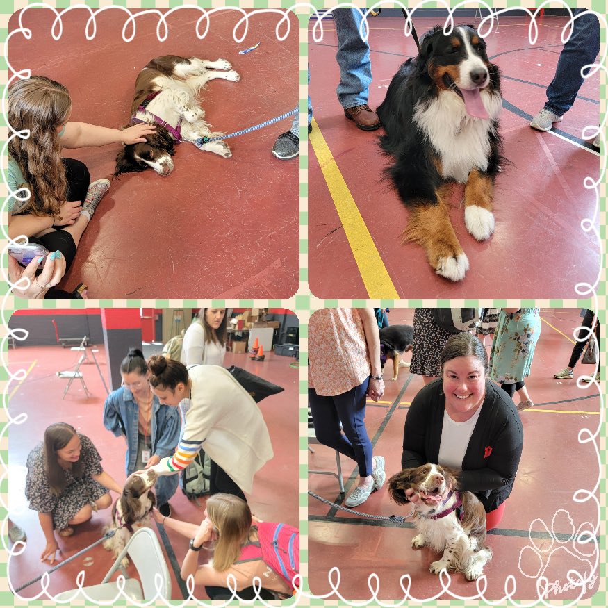 Rowbee'C Kasisky tweet media