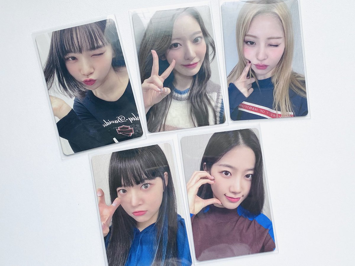 iwilldiveinto1's tweet photo. 르세라핌 피어나 1기 공식 포카 양도합니다

‼️ All = 1.0‼️

허윤진 사쿠라 김채원 홍은채 카즈하 
피어나다 안티프래질 파스테 럭드 웰컴키트 미공포 언포기븐 멤버십 키트 https://t.co/BAa00KmQij