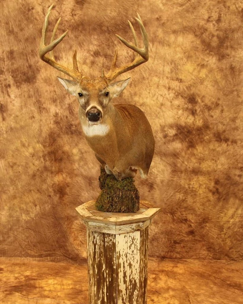 Trips4Trade tweet media