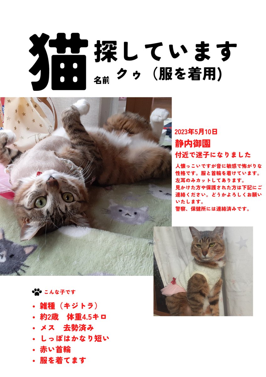 teretere11211's tweet photo. 北海道日高郡新ひだか町静内御園近辺で猫を探しています。
首輪を付けて、傷口保護のため服を着用しています。
服を来た猫を見掛けたら警察か保健所、またはこのアカウントまで連絡お願いします。
#北海道　#静内　#新ひだか
#迷子猫　#保護猫 https://t.co/lKFAjKE1oA