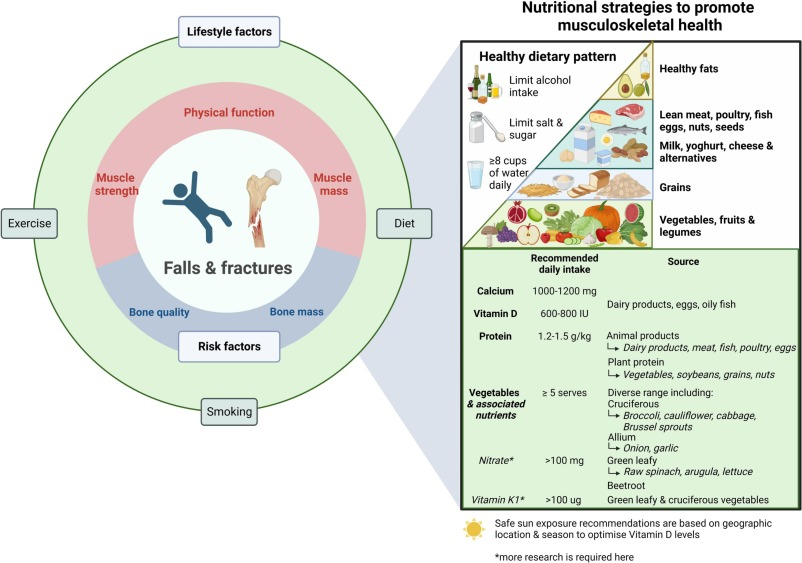 Nutritional strategies to optimise musculoskeletal health for fall and fracture prevention....
sciencedirect.com/science/articl…
