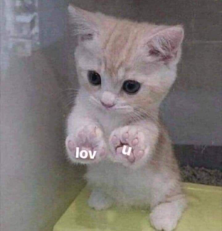 aylafwu's tweet photo. @loafsclucas @moonareas love u too, LUCU BNGET KNAPA https://t.co/pz3Y0xw2St