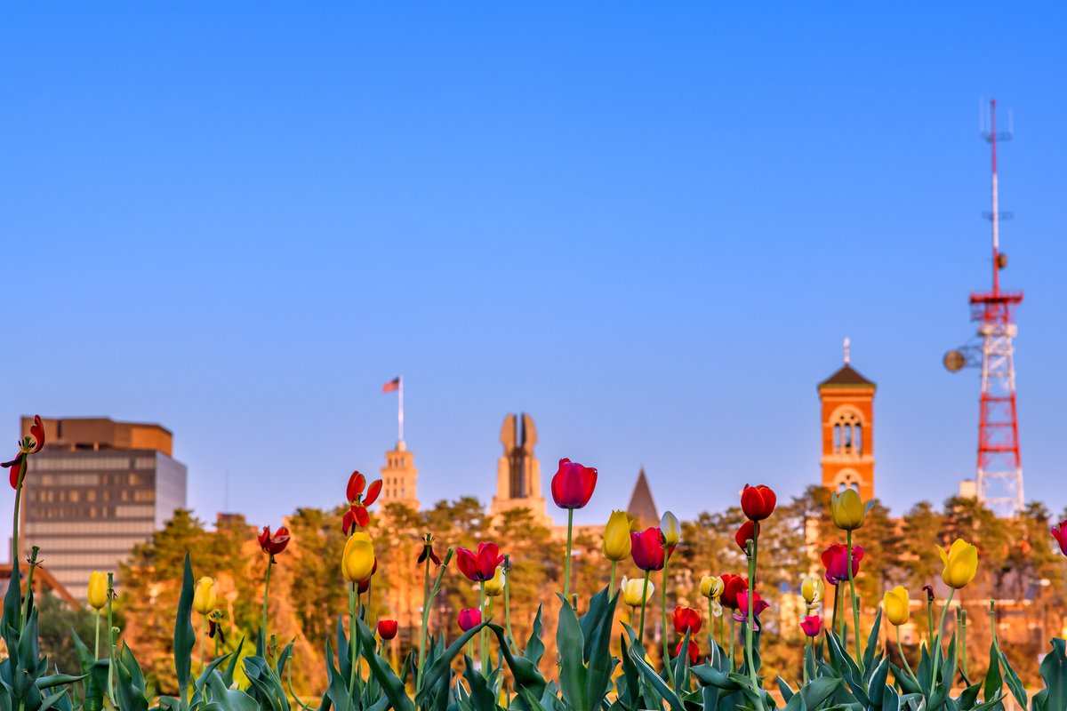 Roc Tulips
Do you prefer the first shot with the buildings in focus, or the second with the tulips in focus?
#rochesterny #downtownrochester #roctopshots #spring #tulips