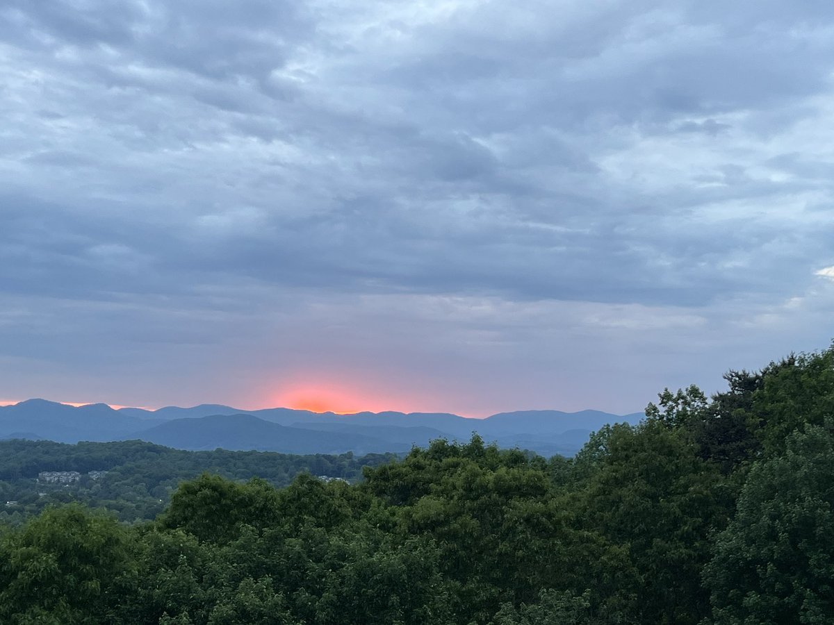 Dr. Kimberly Dechant tweet media