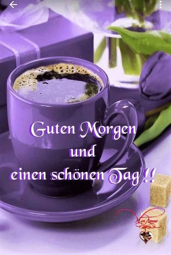 VojkicV's tweet photo. Guten Morgen liebe Freunde!☕️☕️🍀☀️💐🌹 https://t.co/LD1MQJdP1H