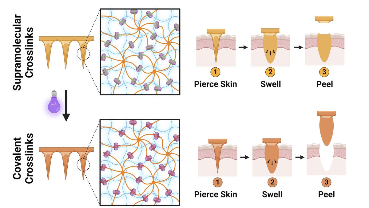 Matthew J. Webber tweet media