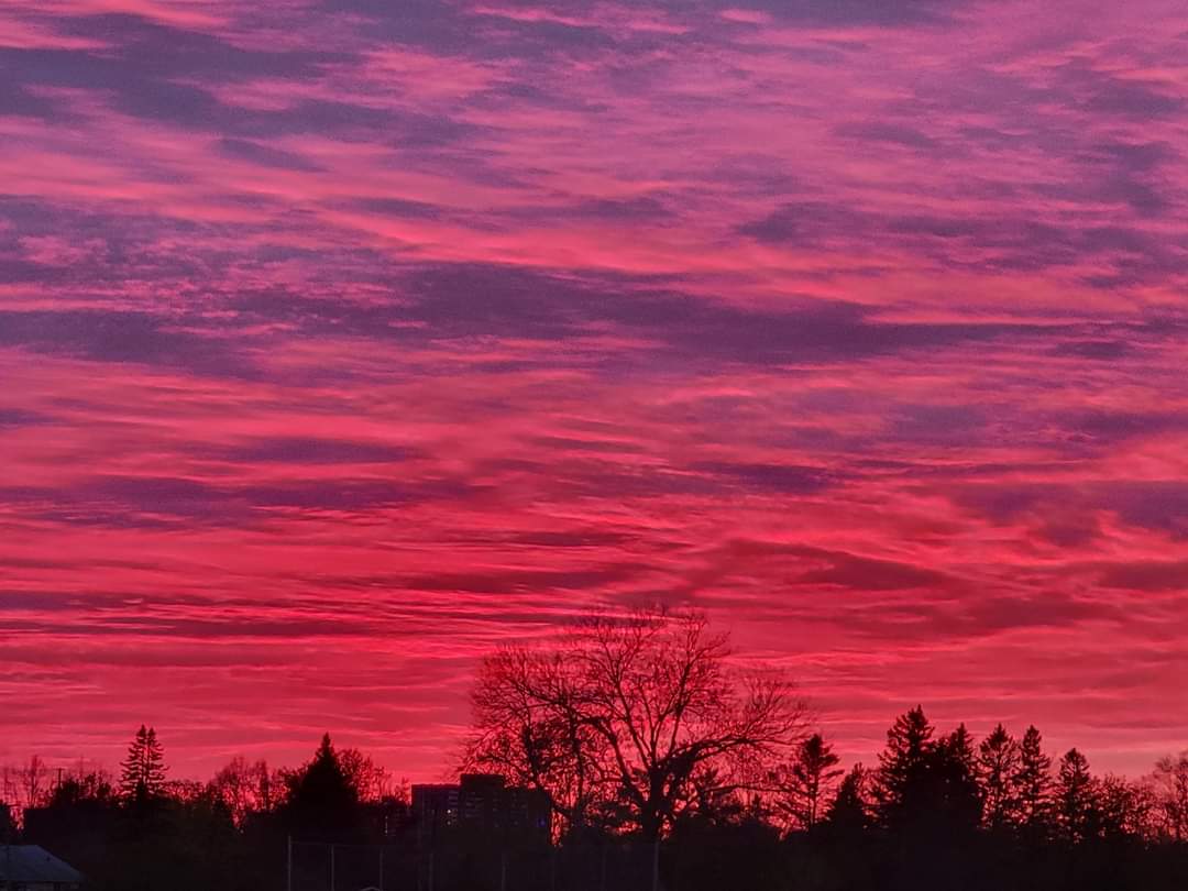 ReneeHerman13's tweet photo. Beautiful Canadian Sunset (credit: K. Stewart) #Canada 🇨🇦 🍁 #sunset @500pxrtg #spring https://t.co/6uu1nNP9rI
