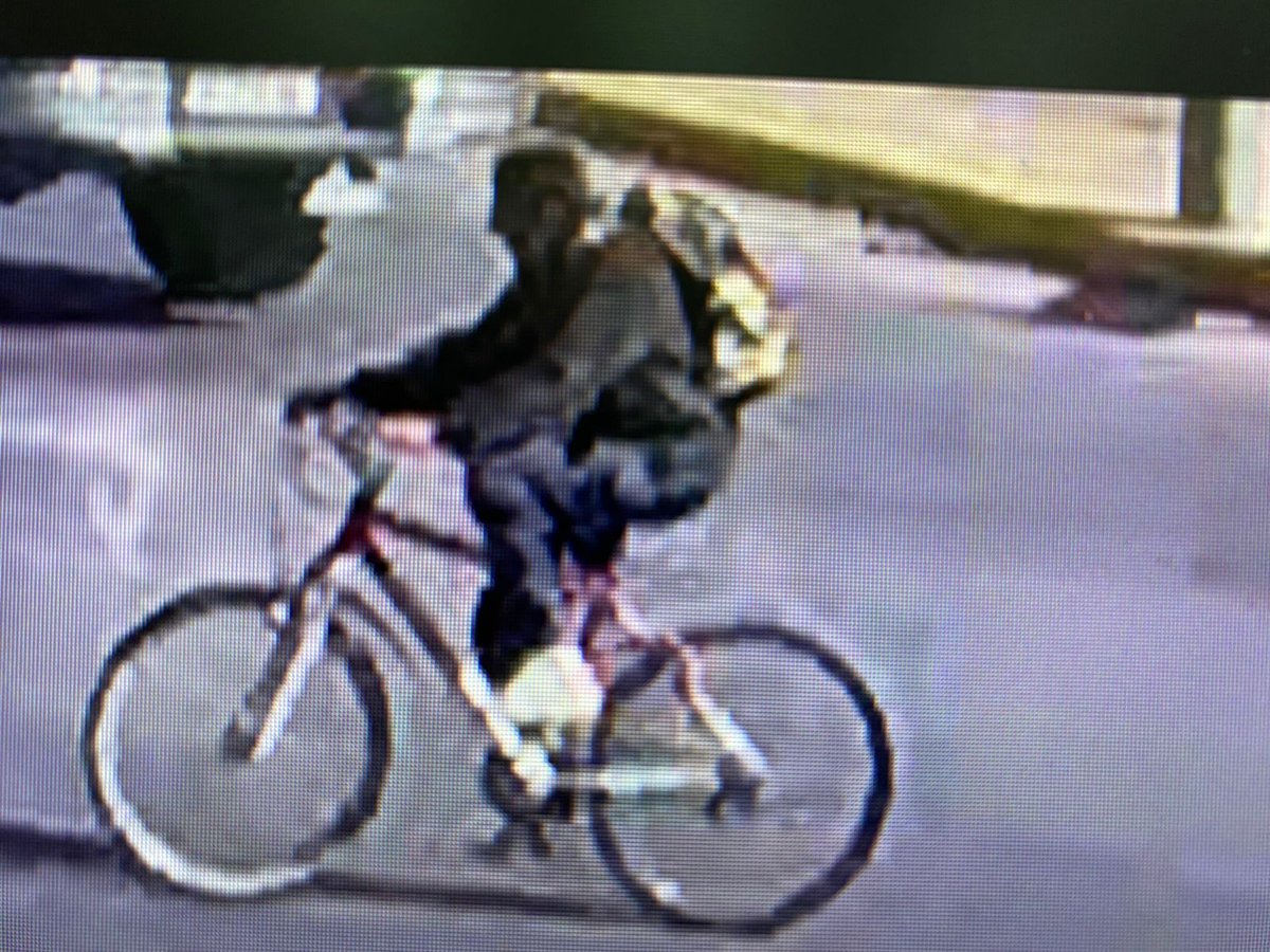 mari_eder's tweet photo. Gente según lo que vimos en cámaras de la zona ésta persona se la llevó, así que estamos buscando contactarlo. Si lo reconocen o tienen algún tipo de información porfavor ayudennos a encontrar a India. https://t.co/L04i8jUAWa