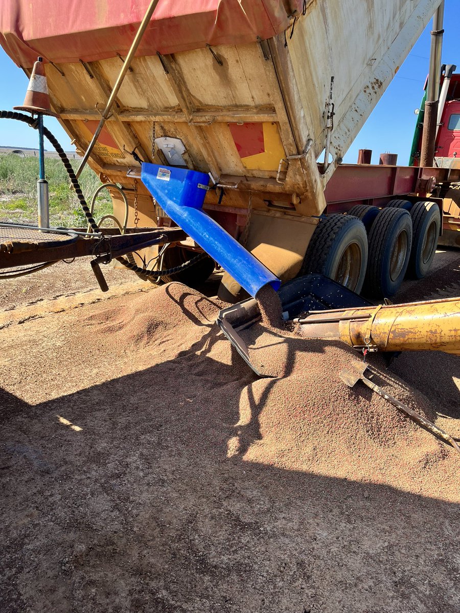 iMc Fels 📲🌾 tweet media