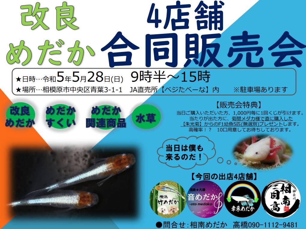 5/28 めだか販売会