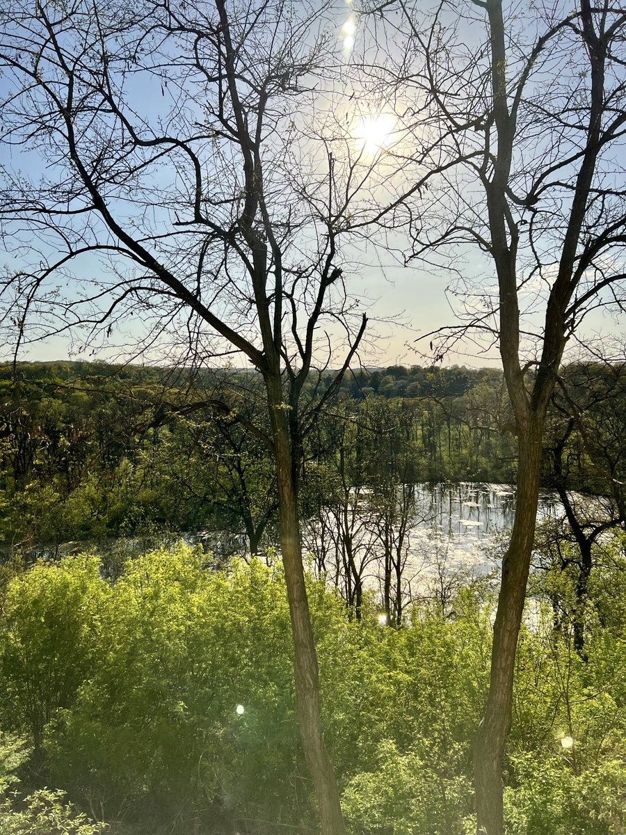 MsSarahCraig's tweet image. A beautiful afternoon and evening at The Inn on the Twenty for the ⁦@CISOntario⁩ Nurses’ Network Retreat. Thank you to ⁦@ActionFirstAid⁩ for a terrific presentation and for sponsoring our evening! #cisopd #nationalnursingweek #thankyounurses