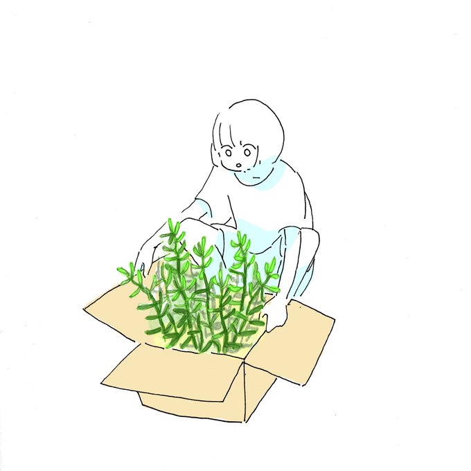 「植物 白いシャツ」のTwitter画像/イラスト(新着)｜21ページ目
