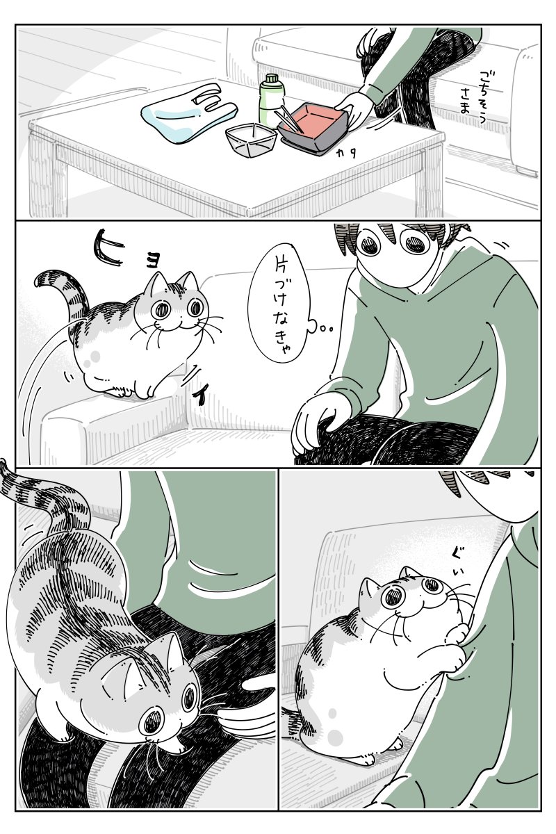 せっかくネコが乗ってるし 