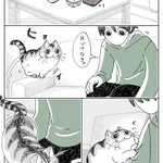 猫が膝に来たり、乗ったりしていると･･･!とっても可愛い「猫漫画」が話題に!