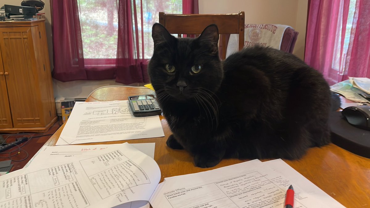 starkeepr's tweet photo. @peevedccprof Here’s one of mine helping me grade earlier this week. https://t.co/6Of5jfO49x