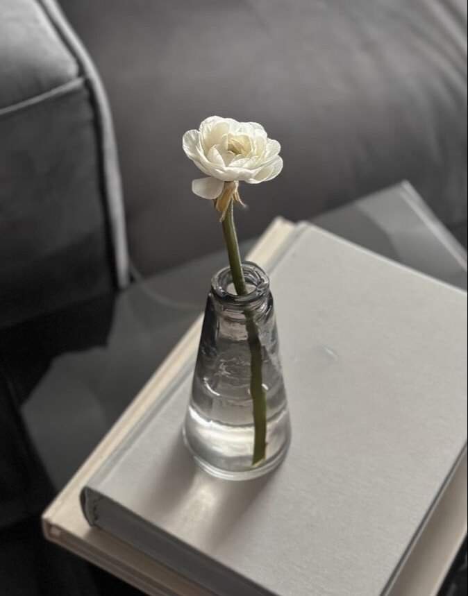 - كل ما تكبر تعرف أن راحة
        البال هي مُبتغى العمر كله ✨صباحكم راحه البال ونهاركم سعيد 😄