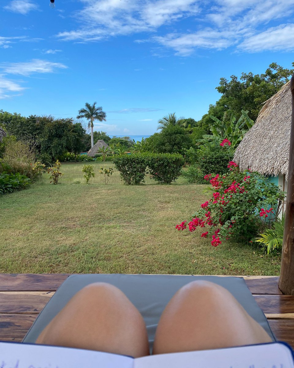 Paradise found 🌴☀️ Soaking up the sun and indulging in the good vibes! 

#Lifegrowsgreen #nature #natural #paradise #paradisevibes #goodvibes #green #greenery #sun #relax #photography #photograph <a href="/RealChadPrice/">Chad Price</a> <a href="/bsnscnslt/">BusinessConsultant</a>