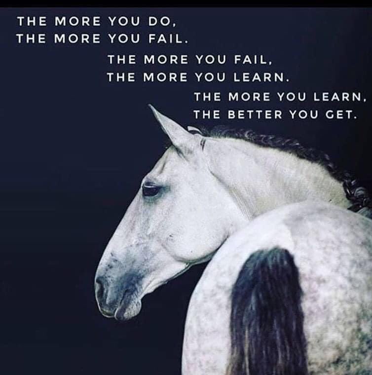KeeleyDurhamEq1's tweet photo. …. Just sayin 😎
⭐️#coachkeeley
▶️#tuition
▶️#polework
▶️#gridwork
▶️#flatwork
▶️#ringcraft
▶️#timing
▶️#confidence
▶️#results
▶️#focus
▶️#mindset
▶️#showjumping
▶️#keeleydurhamequestrian https://t.co/pnIHDb6hg6