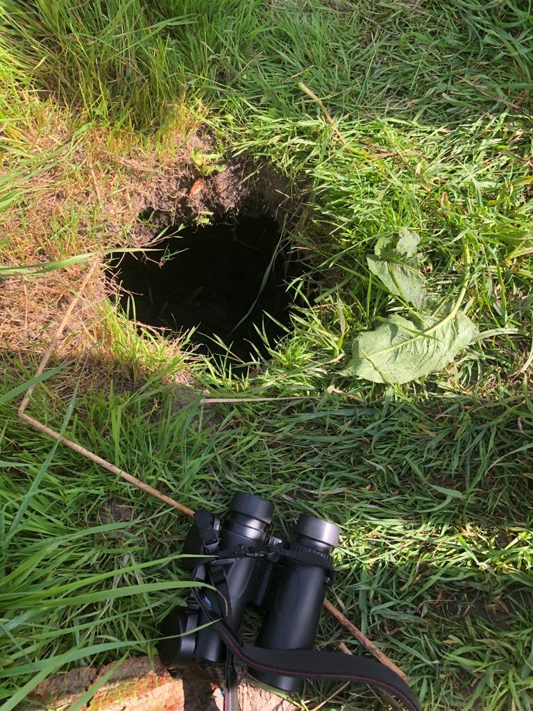 DeTom48's tweet photo. A very large #BeaverHole has appeared on a public track in #Hacklinge we checked the hole for #Beavers as it’s empty we’ve made a temporary fix to the #footpath take extra care when out walking these holes can be very big
@EnvAgencySE https://t.co/H4wdfqlgdW